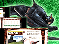 SCEJ¡¤¿·¤¿¤Ê¥³¥ó¥Æ¥ó¥Ä¥«¥Æ¥´¥ê¡¼¡¤¡ÖPlayView for Games¡×¤òȯɽ¡£Âè1ÃÆ¤Ï¥«¥×¥³¥ó¤Î¡Ö¥â¥ó¥¹¥¿¡¼¥Ï¥ó¥¿¡¼¥Ý¡¼¥¿¥Ö¥ë 2nd G ¥â¥ó¥¹¥¿¡¼¥Ç¡¼¥¿Ãμ±½ñ¡×